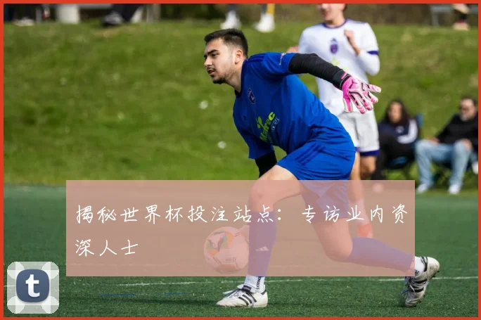 揭秘世界杯投注站点：专访业内资深人士