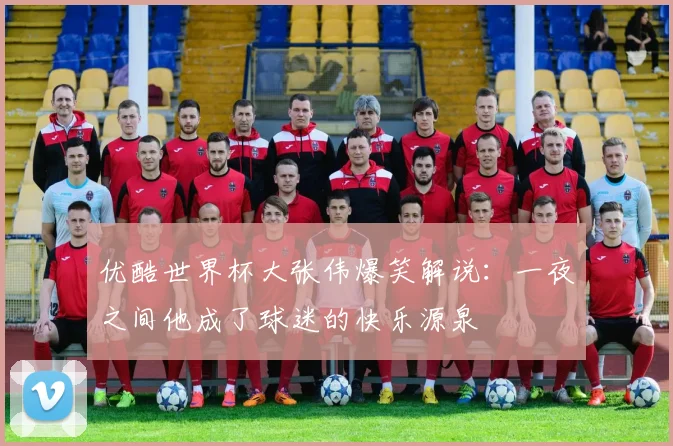 优酷世界杯大张伟爆笑解说：一夜之间他成了球迷的快乐源泉