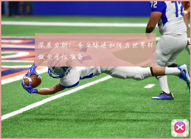 深度分析：专业球迷如何为世界杯做全方位准备