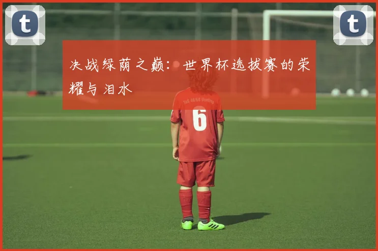 决战绿荫之巅：世界杯选拔赛的荣耀与泪水