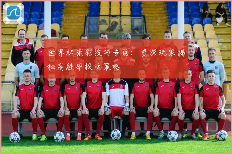 世界杯竞彩技巧专访:资深玩家揭秘高胜率投注策略