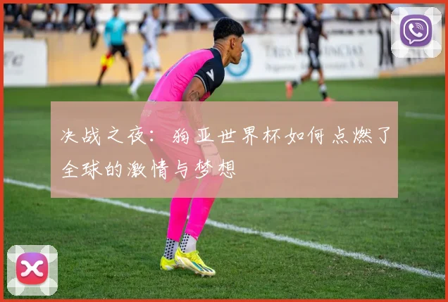 决战之夜:狗亚世界杯如何点燃了全球的激情与梦想