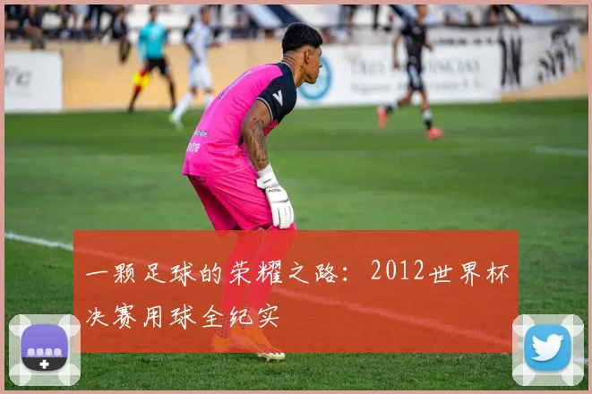 一颗足球的荣耀之路:2012世界杯决赛用球全纪实