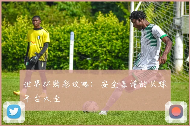 世界杯购彩攻略：安全靠谱的买球平台大全