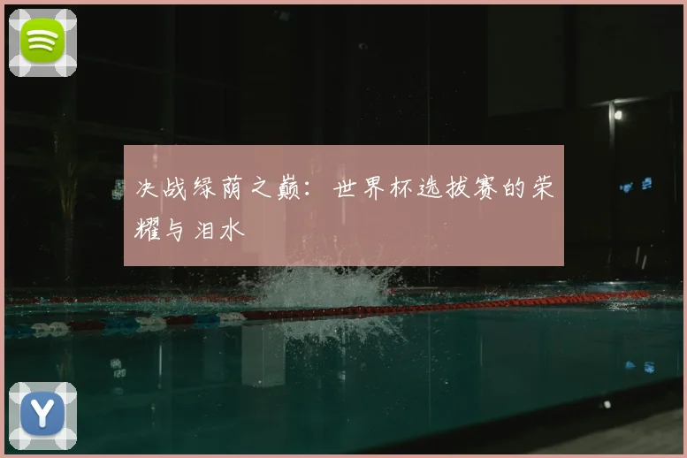 决战绿荫之巅：世界杯选拔赛的荣耀与泪水