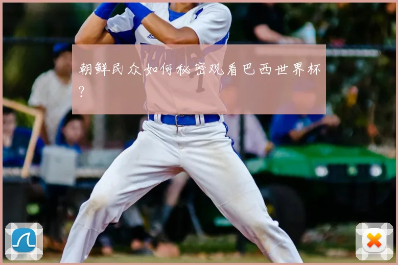 朝鲜民众如何秘密观看巴西世界杯？
